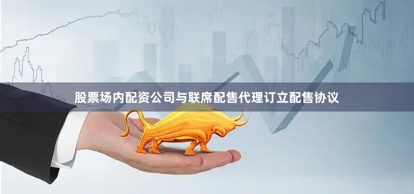 股票场内配资公司与联席配售代理订立配售协议