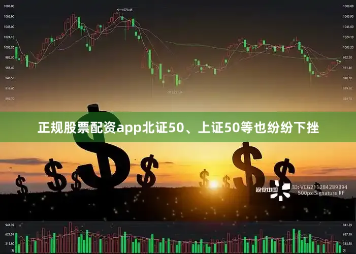 正规股票配资app北证50、上证50等也纷纷下挫