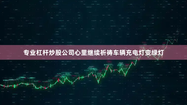 专业杠杆炒股公司心里继续祈祷车辆充电灯变绿灯